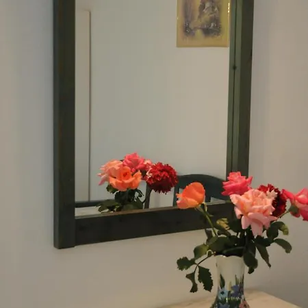 Apart-hotel Eriva By Hotelius 2*